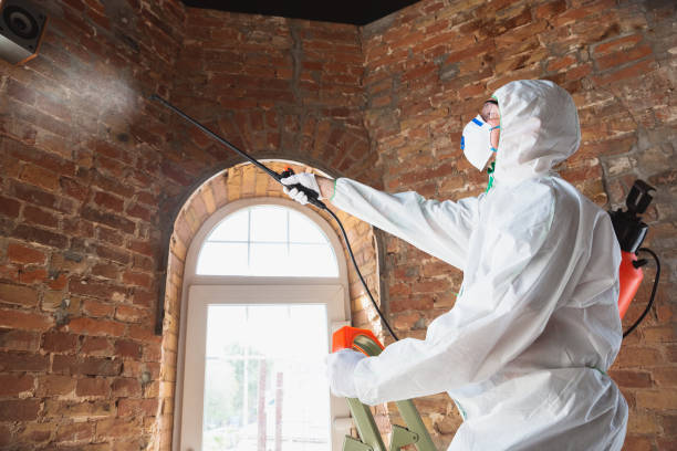 Best Biohazard Mold Removal  in Beachwood, NJ